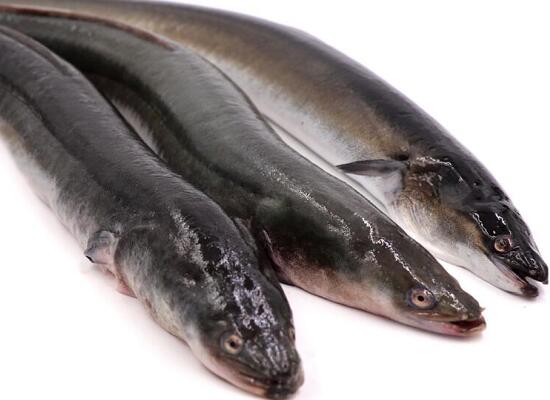 1760256918.jpg tupian_baishan1.jpg