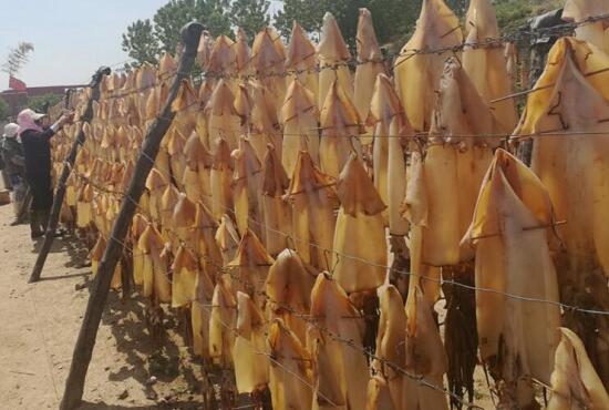 1760259678.jpg tupian_youyu2.jpg