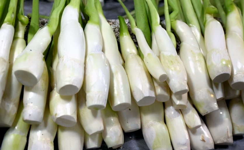 1765117780506814.png 微信圖片_20251207222906_158_3.png