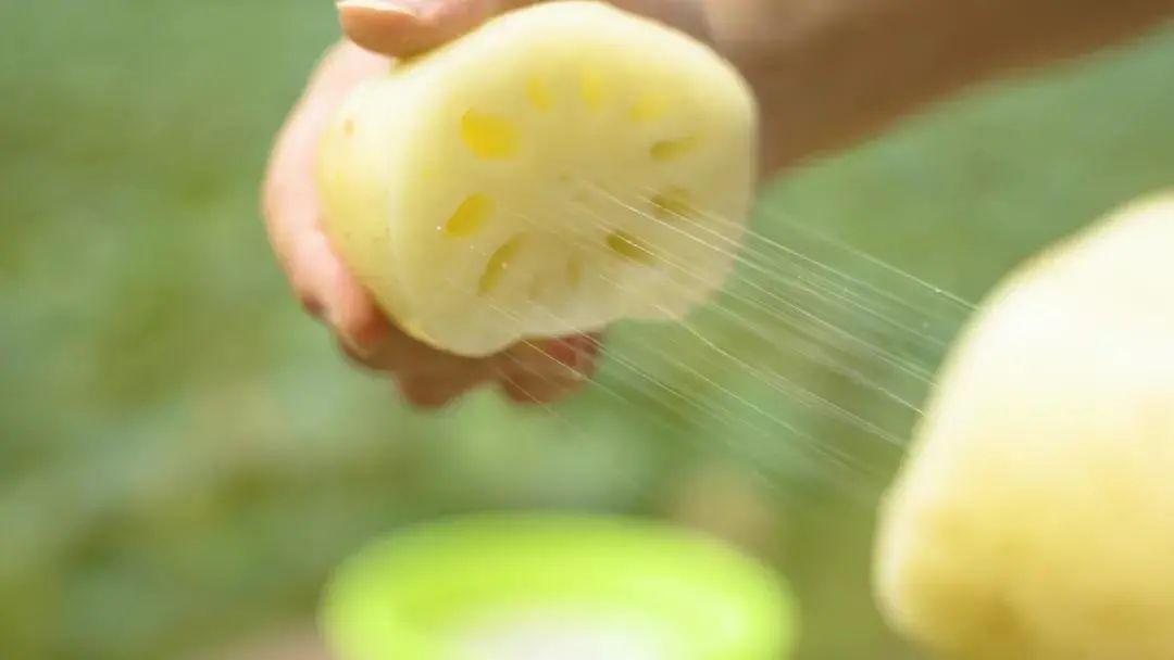 藕斷為什么會絲連呢,東莞食材生鮮配送中心與您談一談