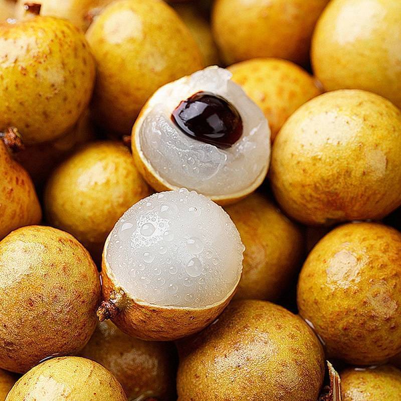 1775107741343150.jpg wGItzW_uymx5i_U-izUP8A.jpg